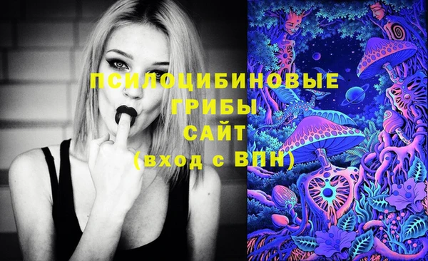 прущие крисы Арсеньев