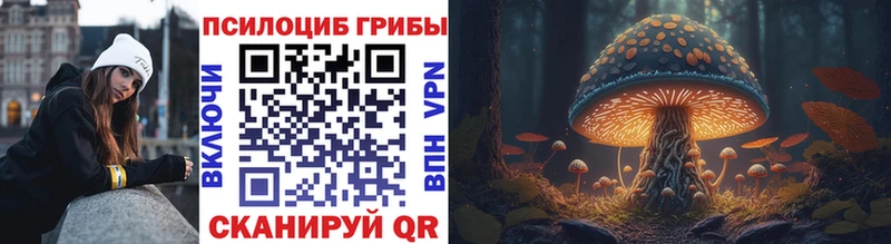 цена   Малоархангельск  Псилоцибиновые грибы мицелий 